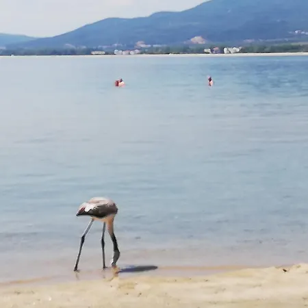 Teralogis - Lovely Place فيلة