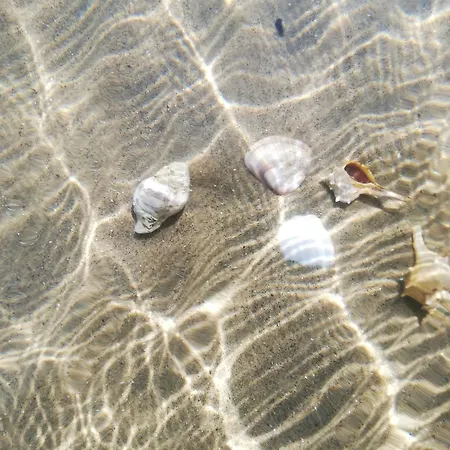 Teralogis - Lovely Place فيلة *