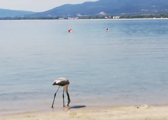 Teralogis - Lovely Place Villa