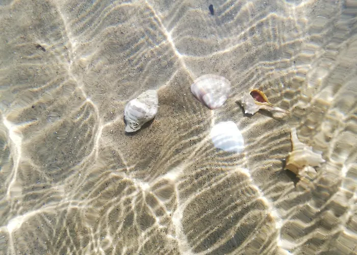 Teralogis - Lovely Place Villa *